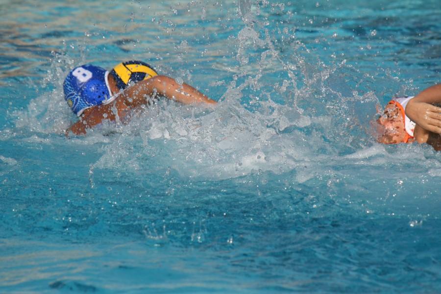 Carlmont water polo defeats Woodside 