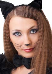 How To Do Cat Whiskers Makeup