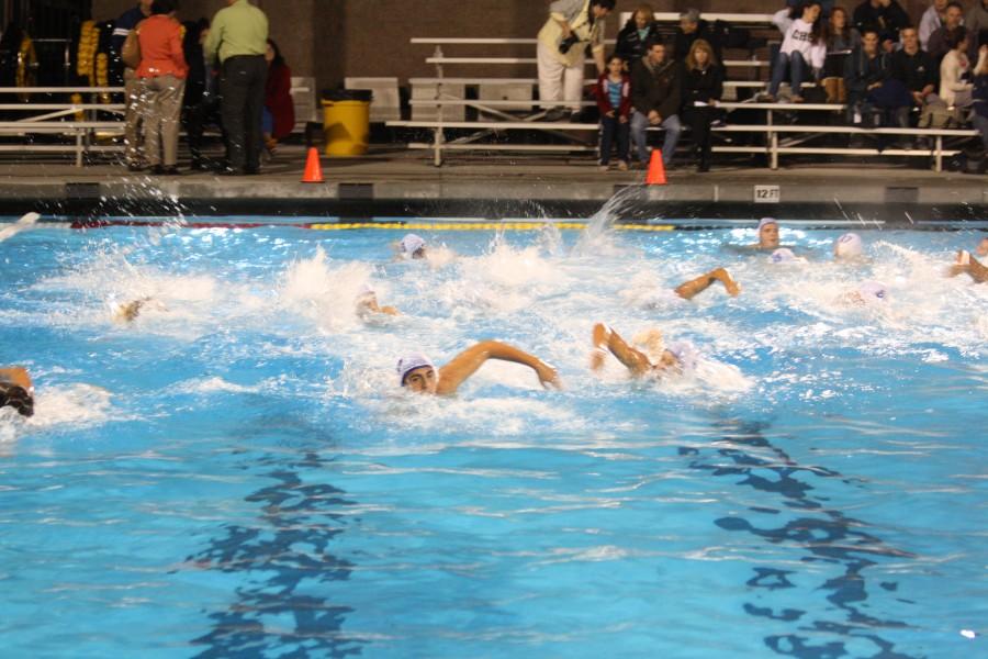 Boys water polo defeated in CCS