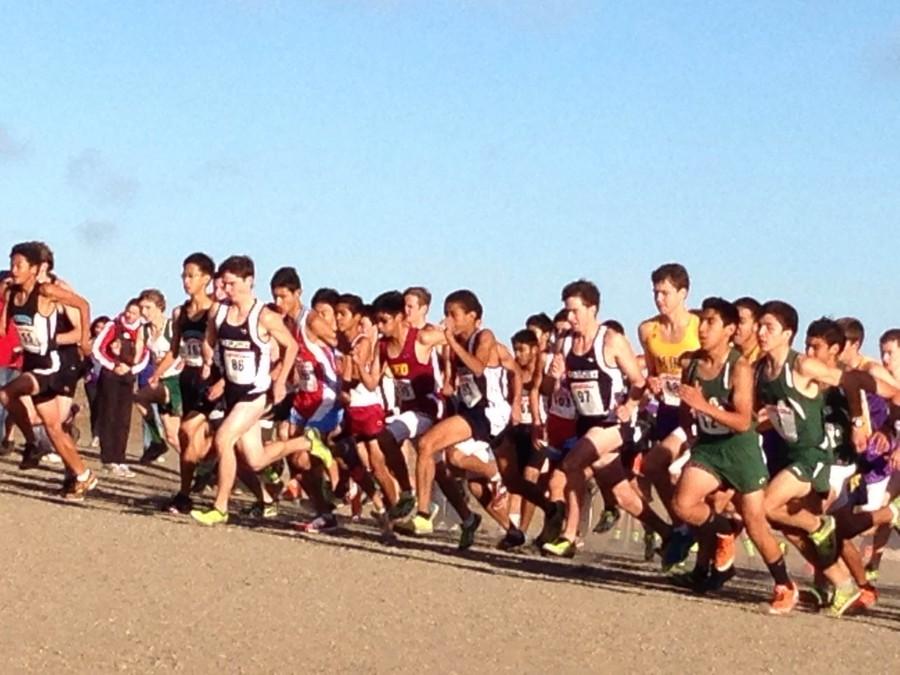 Cross country settles for second at CCS championship