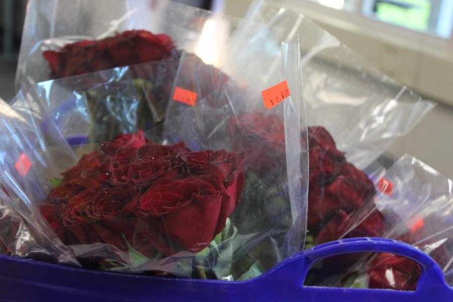 The Valentines Day roses before distribution.