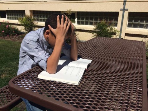 Freshman Keanu Dono pours over his history textbook.