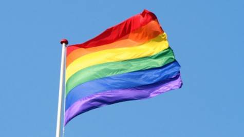 The rainbow flag is a symbol for the LGBT+ community and its allies, such as Carlmonts Queer-Straight Alliance.