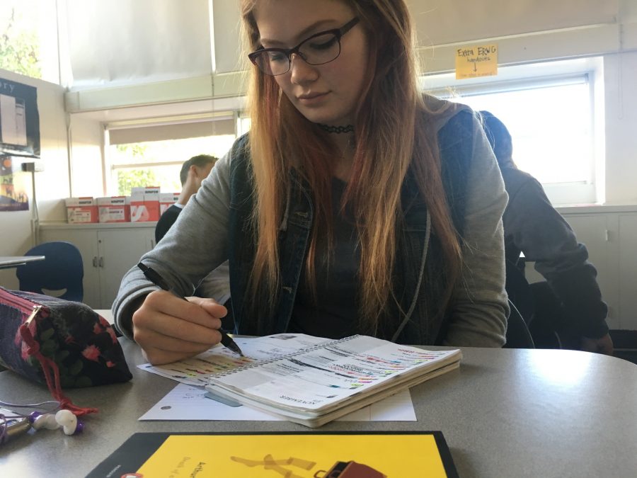 Sarah Nissov, a junior, writes down her tests for the week so she can study efficiently. 