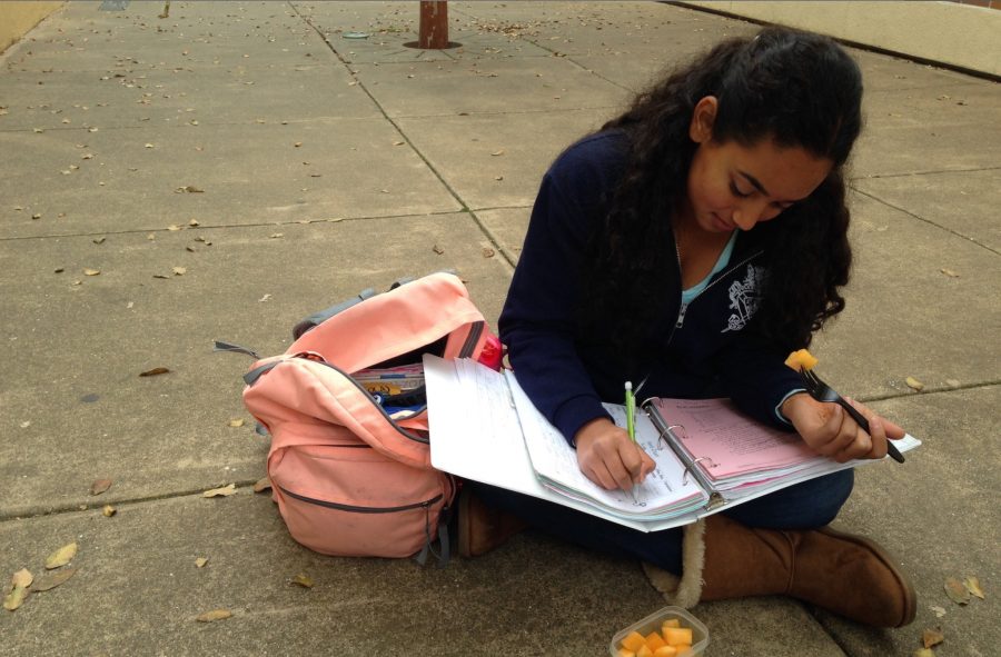 Sophomore Kinjal Vyas eats a healthy a snack as she does her homework.  