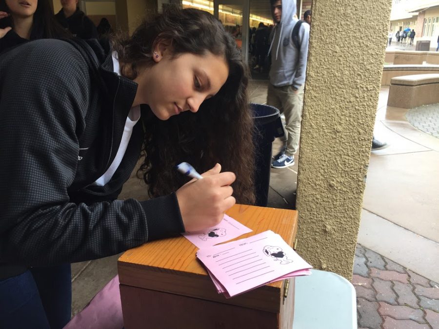 Mia Zidan, a junior, writes a note to be delivered with a rose during lunch.