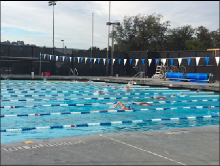 The varsity boys swim team practices for its upcoming season at the Glenn Kovas Aquatic Center at Carlmont high school. The team is looking strong, people are coming to practice and working hard says sophomore Nicholas Chao.