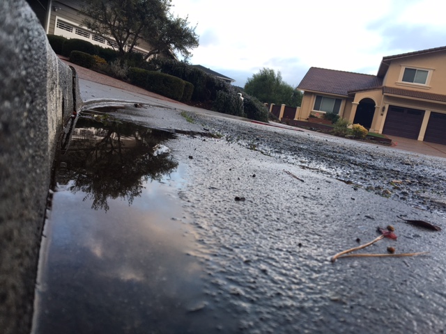 Heavy rainfall leaves behind drenched gardens and filled gutters. Steady rains and winter storms have close to ended the drought in Northern California. 