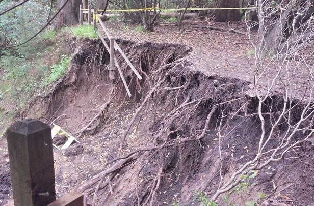 After the heavy rains in February, the wooden fences at Twin Pines Park have collapsed due to the unstable footing underneath.