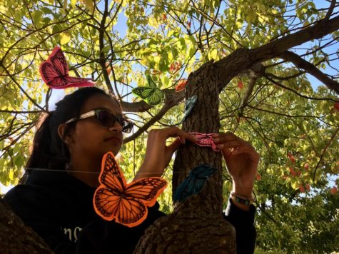 Divya Menon, a sophomore, hangs up colorful butterflies in honor of Earth Day.