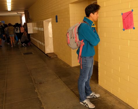 Sophomore William Castro-Ramirez examines a poster for an upcoming school activity.