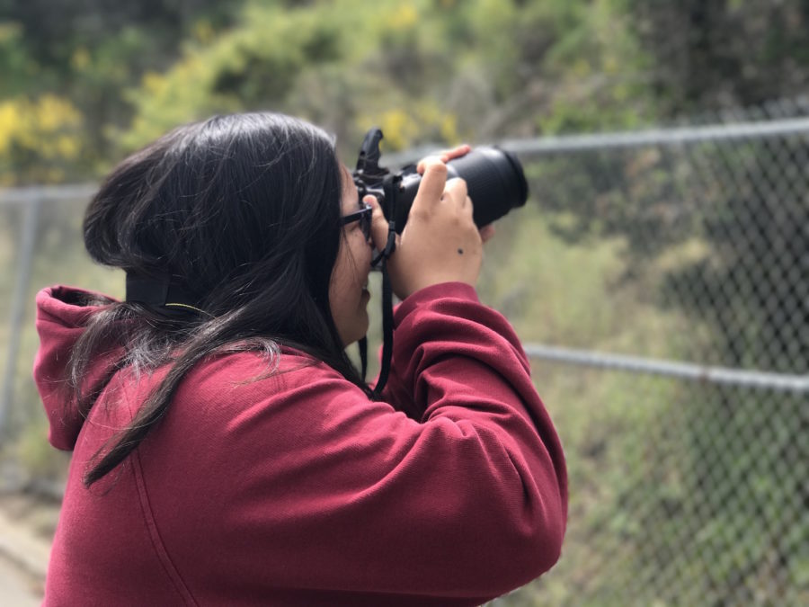 Akiko Balitactac takes her photo for the San Mateo County photography contest