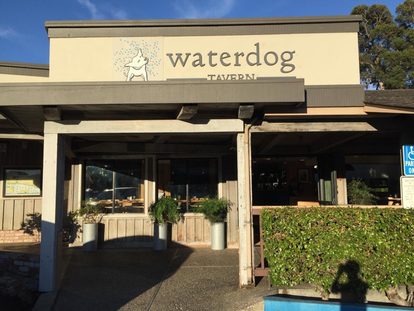 Waterdog+Tavern+in+the+Carlmont+shopping+center+employs+many+%0ACarlmont+students+as+hosts%2C+bussers%2C+and+servers+both+over+the+summer+and+during+the+school+year.