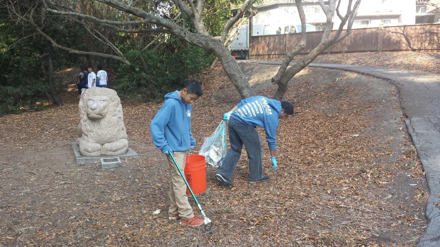 Alex Chen, a freshman, and Christian Licudine, a senior, collected discarded cigarette butts and wrappers in the Twin Pines Park section of the Coastal Cleanup.