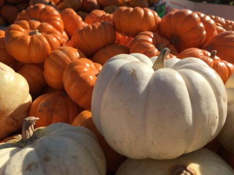 The annual Half Moon Bay Art & Pumpkin Festival celebrates with a huge assortment of pumpkins, festivities, and more. The event attracts many who embrace all things pumpkin, including carving, cuisine, and activities.