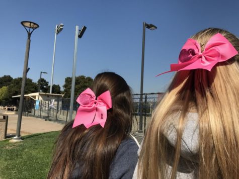 Cheerleaders Rachel McDonald, a senior, and Nicole Eftimiou, a senior, wear pink ribbons on Friday in support for Breast Cancer Awareness Week.