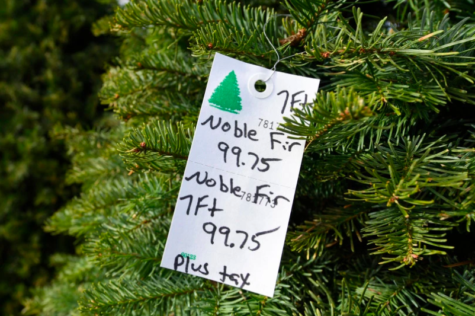 A Christmas tree with a price that many are not used to seeing.