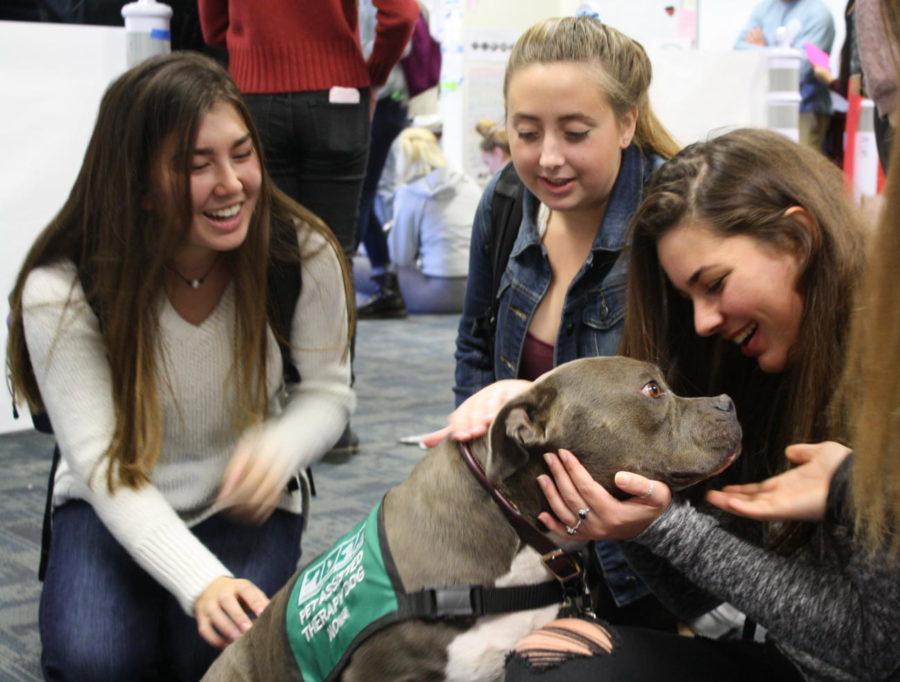 Manon Llorach, Emma Simmons, and Nicole Turk, three juniors, smile as they pet Nova, one of the therapy dogs.