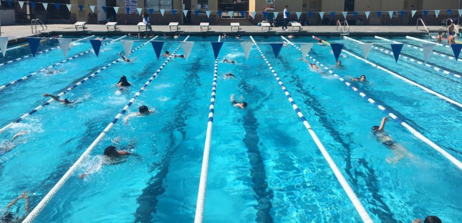 Students are separated by lanes according to their swimming capability to practice freestyle.