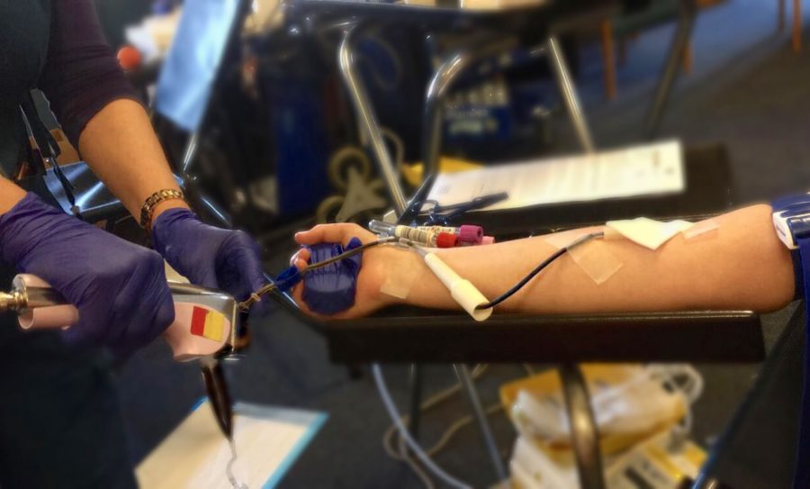 Jane+Doe%2A%2C+one+of+the+few+donors+at+the+Redwood+City+blood+drive%2C+hold+out+her+arm+as+a+nurse+collects+her+blood.+