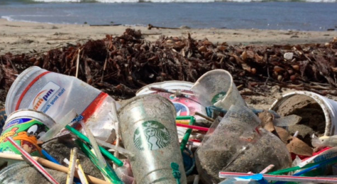 Plastic cups and straws found on the beach demonstrate the urgency for environmental reform.