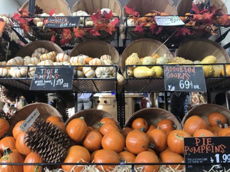 With a variety of pumpkins, shoppers have the opportunity to choose from different shapes, colors, and sizes.