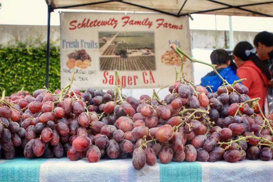 Belmonts farmers market filled with fresh fruit and vegetables on Sunday morning. Samples are laid out for customers to taste the local produce. 