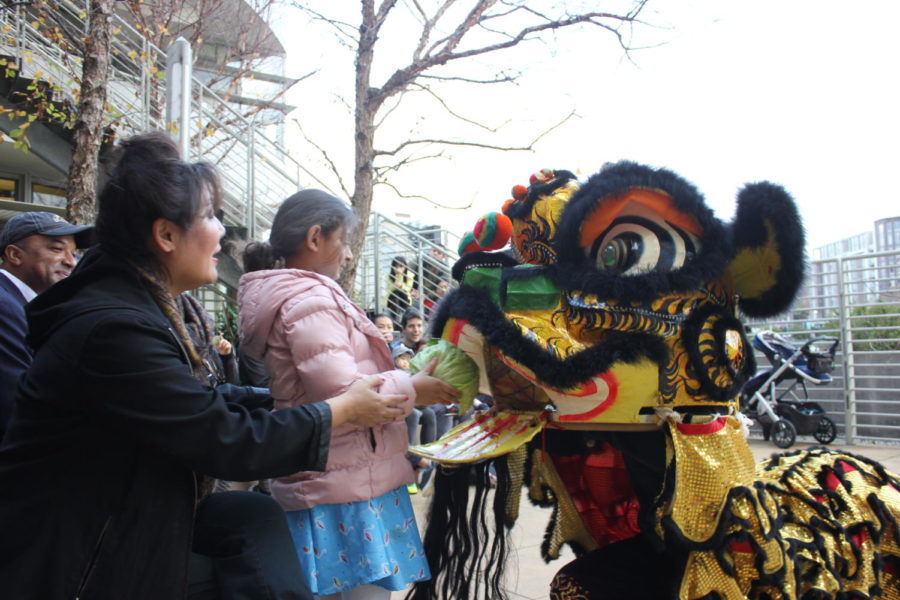 An audience member feeds cabbage to the lion to represent new luck in the new year.