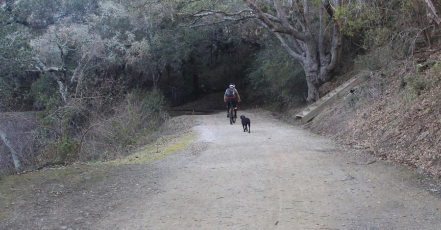 Chris Ketner bikes as his dog, a black lab named Noodle, walks alongside him. Ketner often takes Noodle to walk in public areas like Waterdog Lake and wishes there were more areas open to the public for dog-walking.