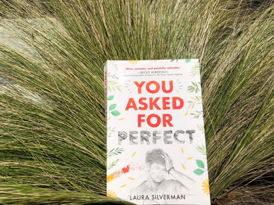 You Asked for Perfect by Laura Silverman.