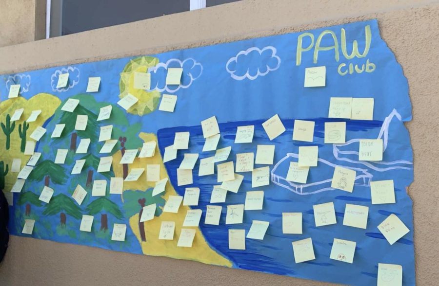 Carlmont PAW Club strives to raise awareness on endangered animals with a poster activity. 