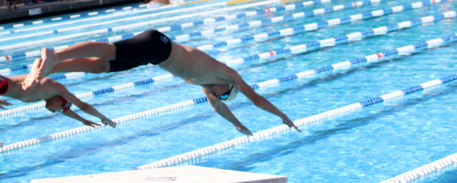 A Carlmont swimmer dives into the water to begin a race versus Burlingame High School.