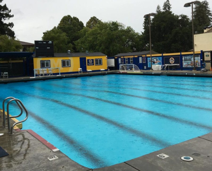 Menlo coach, Jack Bowen holds a summer water polo league in which many Carlmont athletes participate in