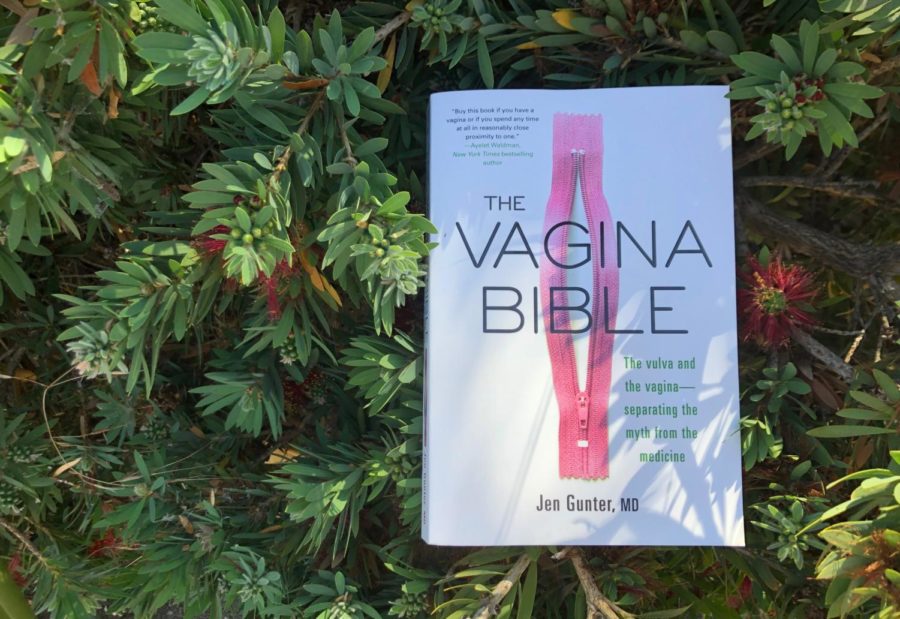 The Vagina Bible by Dr. Jen Gunter contains information about the vulva and the vagina — separating the myth from the medicine.