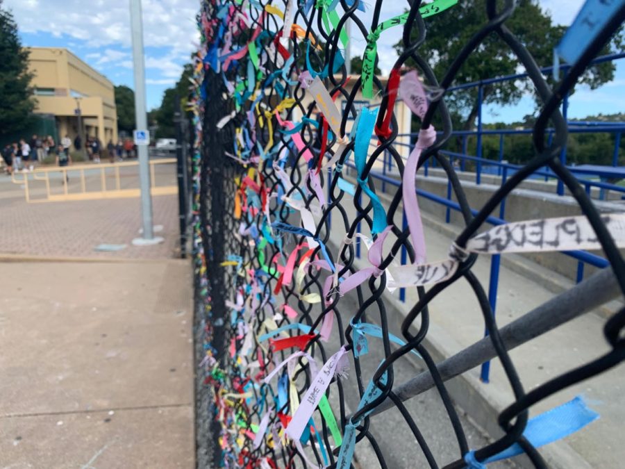 Students can view the ribbons on a fence in the quad. 