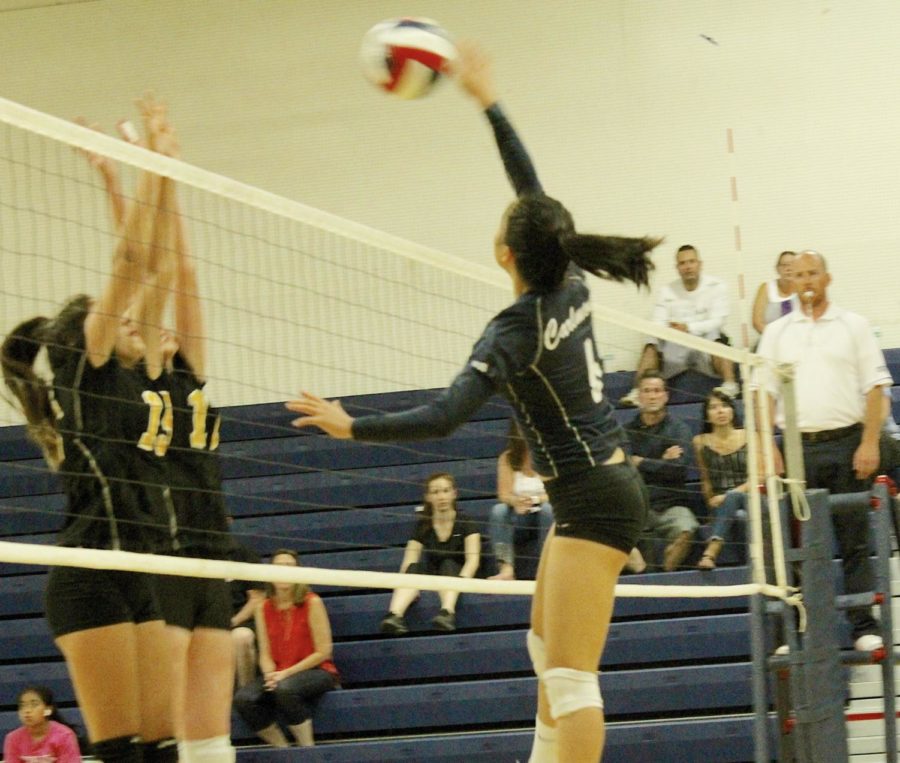 Claire Tseng, a sophomore,    spikes the ball in the first set. 