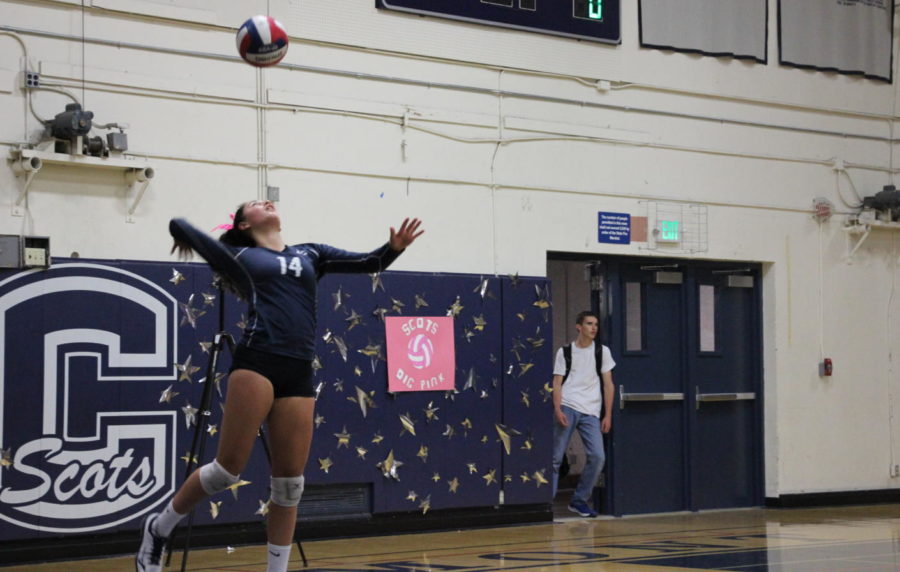 Curly Raddavero, a freshman, jumps up to serve the ball to the Wildcats.