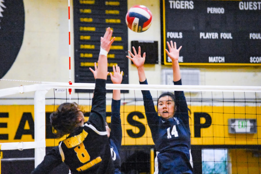 Isabella Chu, a junior, goes up for a block against the opposing Terra Nova hitter. 