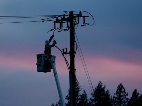 A PG&E worker performs maintenance duties on power lines.