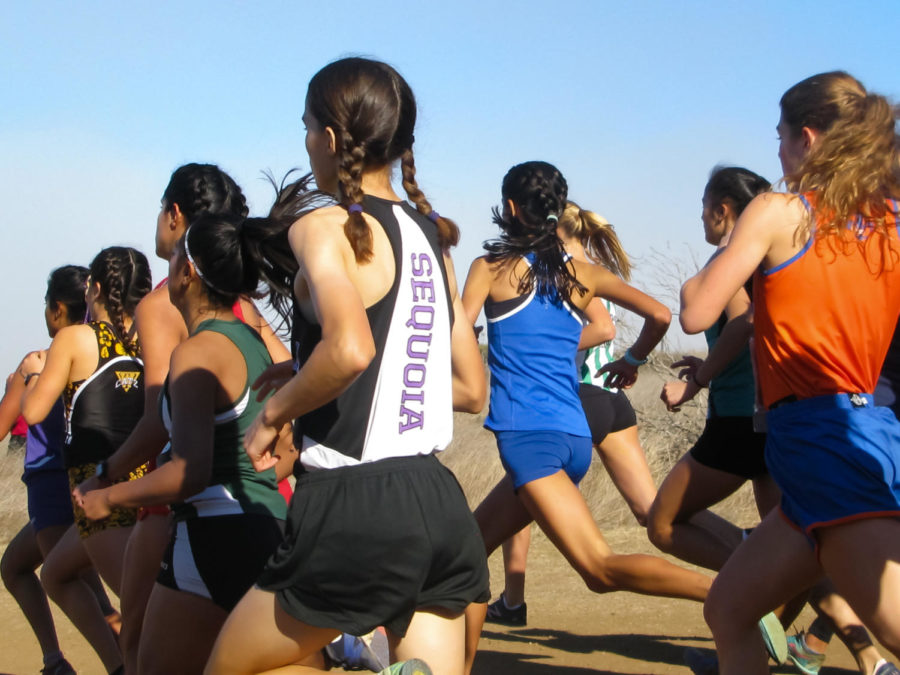 More than 130 girls from 18 Division 1 schools around the Bay and beyond compete for a spot at State during the CCS Championships. As the race beings, the girls start a descend down a dusty hill into a one-mile loop.
