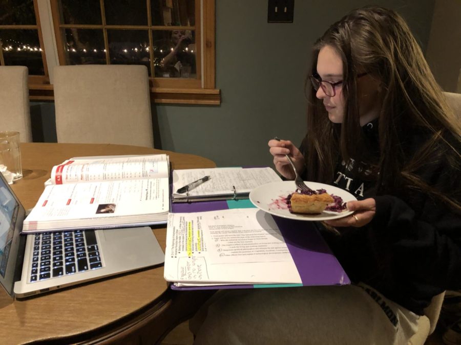 Some students use Thanksgiving break to study for fast-approaching finals.