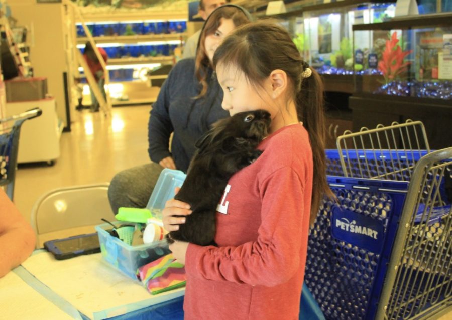 A little girl pets a bunny from the South Bay Rabbit Rescue.