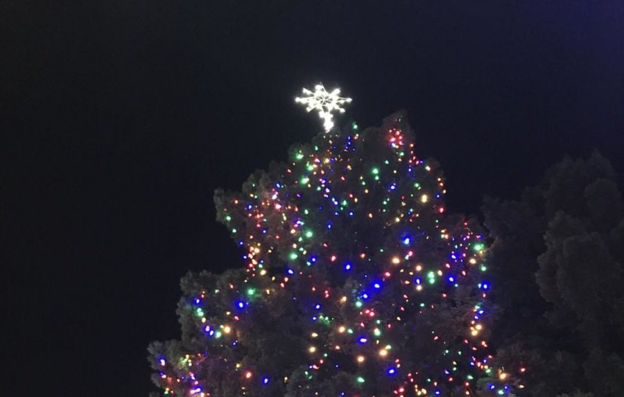 The Christmas tree is lit up in a colorful display of lights.