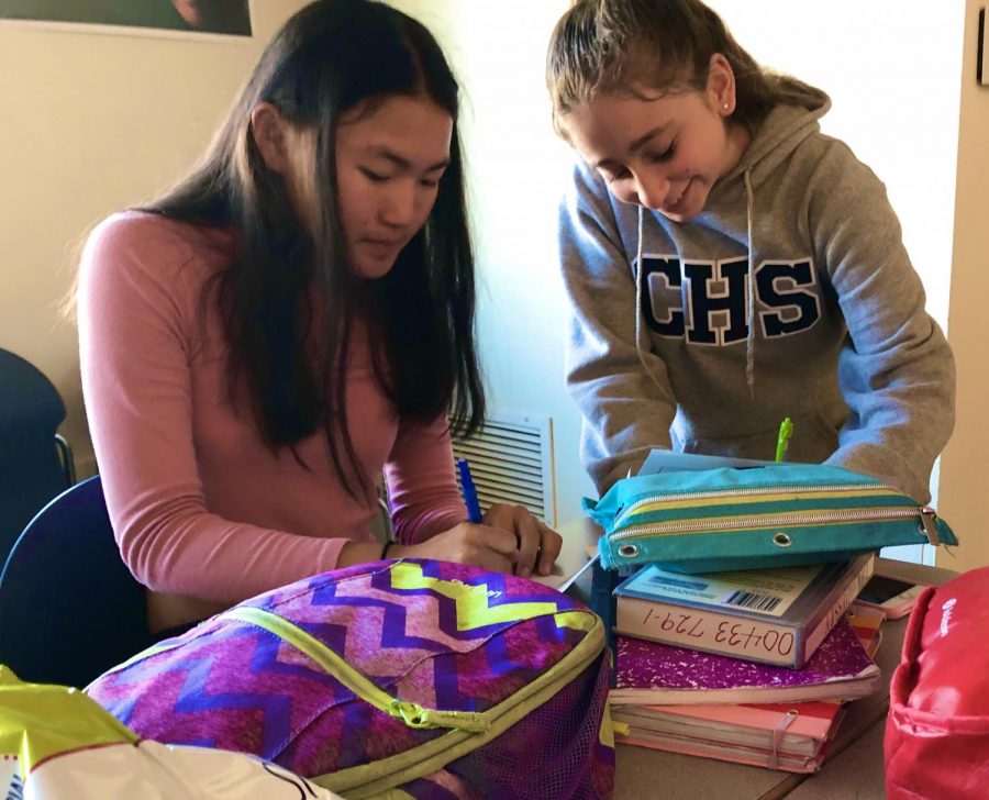 Emma Wang and Alice Finkelstein, freshmen at Carlmont, color a mood tracker to display their emotions throughout the month.