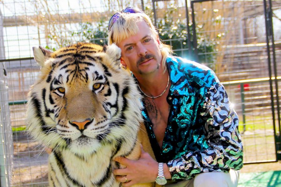 Tiger+King+star%2C+Joe+Exotic%2C+poses+with+one+of+his+many+tigers.