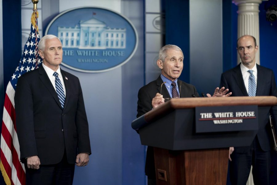 Dr. Anthony Fauci delivers remarks at a White House COVID-19 briefing on April 8.