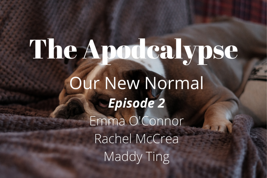 We're four weeks into distance learning, and it's time for a check-in. Join Maddy, Rachel, and Emma as they discuss mental health during quarantine, picking up new hobbies, and how they're staying healthy and sane.