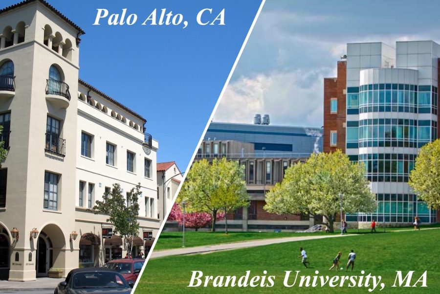 Palo Alto vs. Mass.