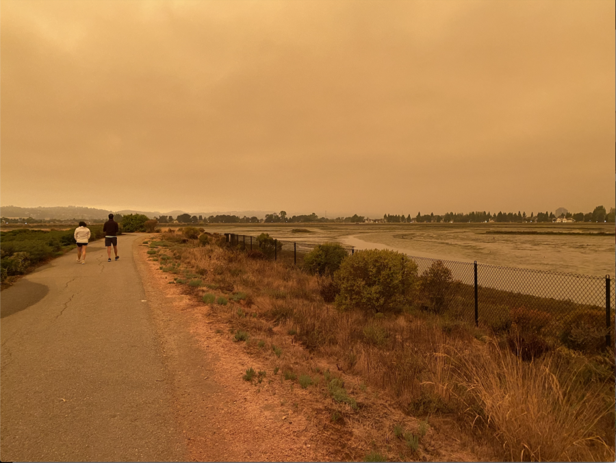 The fires across California paint an ominous orange sky, casting a smokey shadow over the Bay Area.