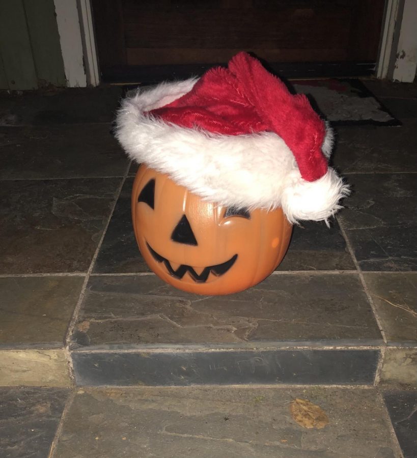Pumpkin wears a Christmas hat.